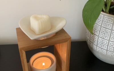 Fondants parfumés en cire végétale : utilisation, bienfaits et idées cadeaux