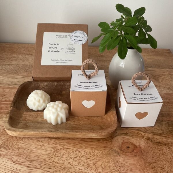 MaindorA-Les fondants de cire végétale parfumée soit en box DUO Fondants soit en coffret de 8 fondants. Nos galets parfumés aux jolies formes différentes sont disposés dans de belles boites en carton kraft recyclable. Il ne reste plus qu'à choisir votre parfum préféré pour créer votre ambiance en toute occasion.